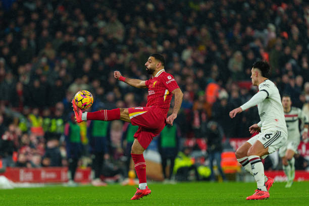 仁顺势而为 仁顺势而为